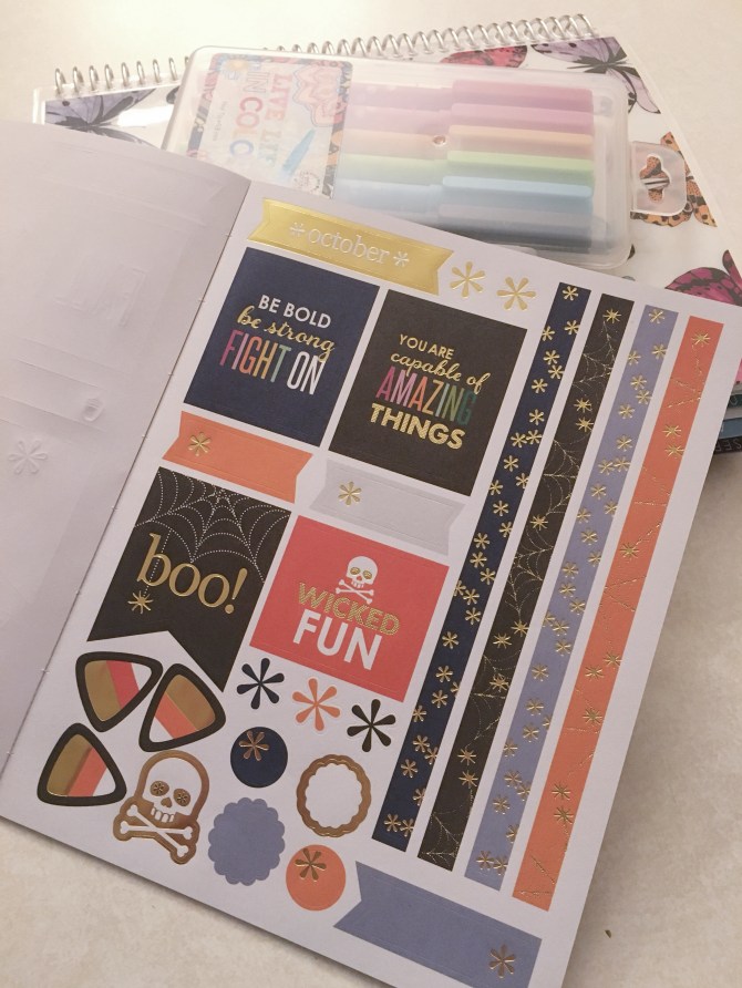 How I Organize And Decorate My Erin Condren Life Planner Lattes