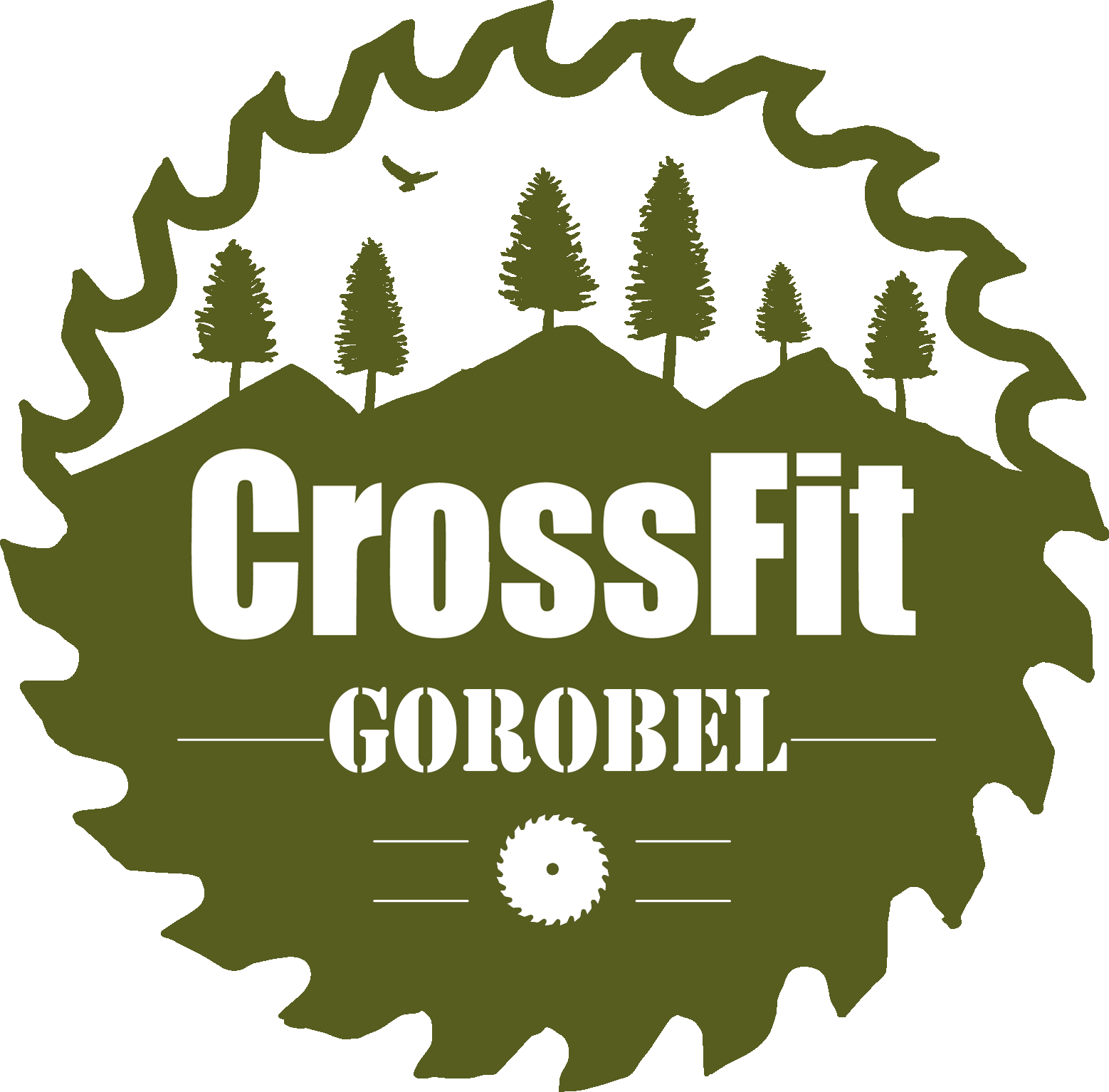 CROSSFIT GOROBEL Apill Llodio