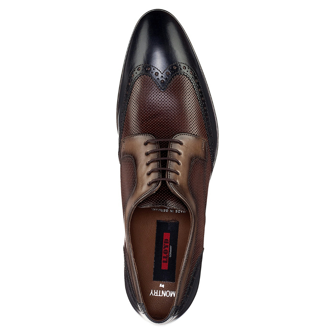 Lloyd Shoes MONTRY (1017112) bei Laue Festmoden