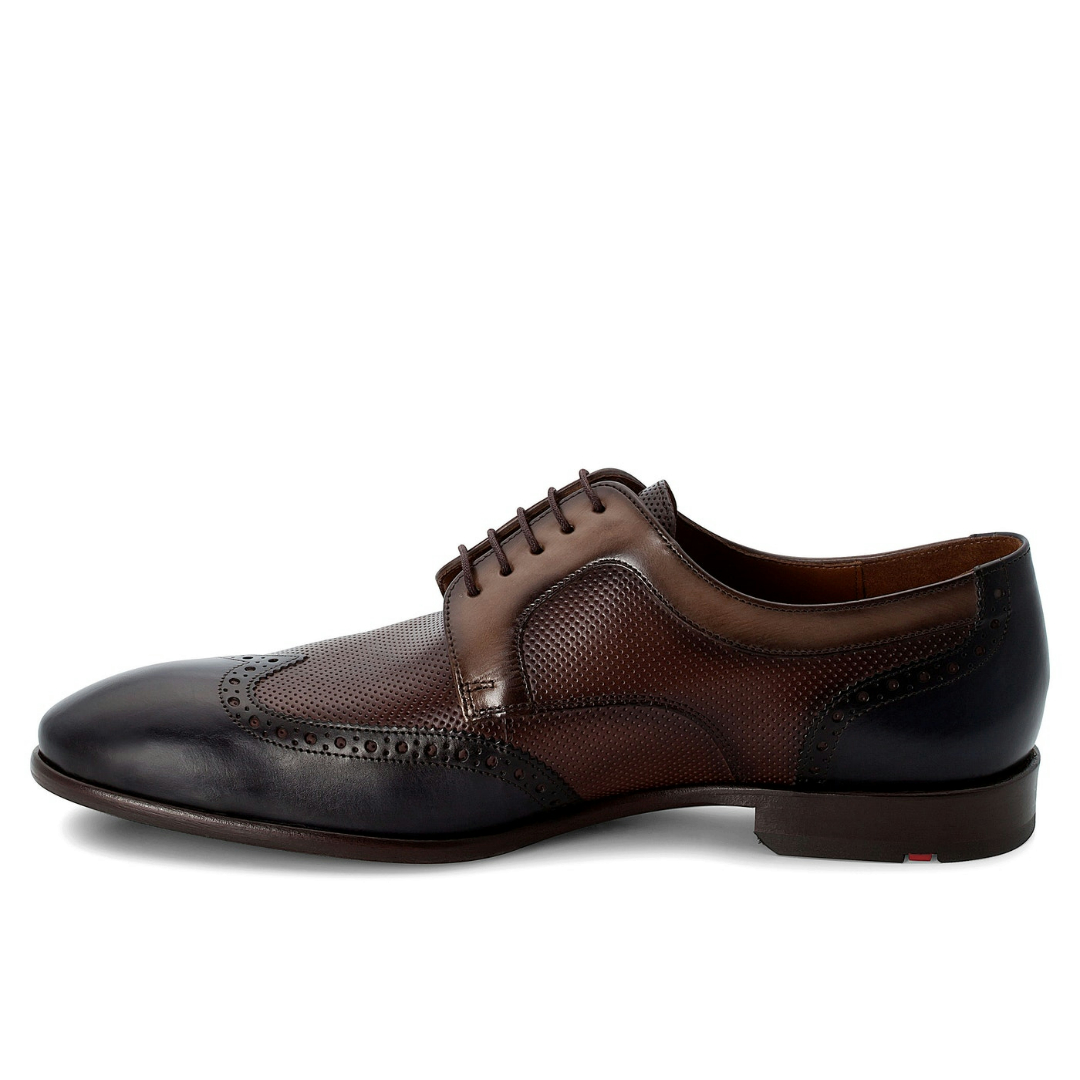 Lloyd Shoes MONTRY (1017112) bei Laue Festmoden