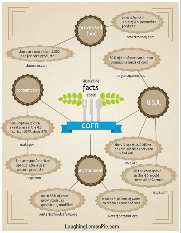 5 Ways to Eat Less Processed Corn (And Why You Should) {Budget Organic