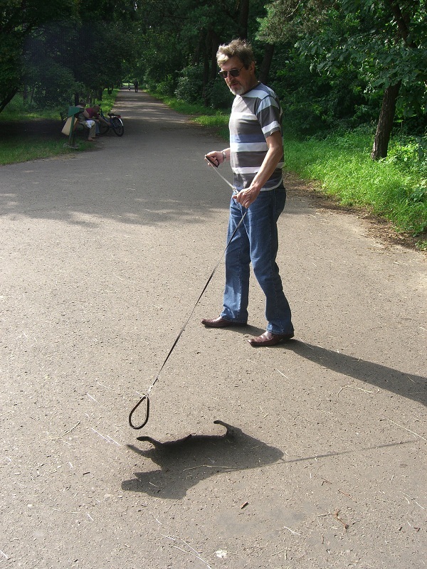 Invisible Dogs in Poland, A Photo Series by Weronika Krzemieniecka