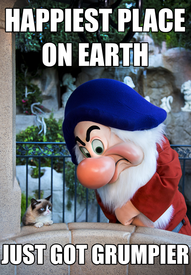 Grumpy Cat Meets Grumpy the Dwarf at Disneyland