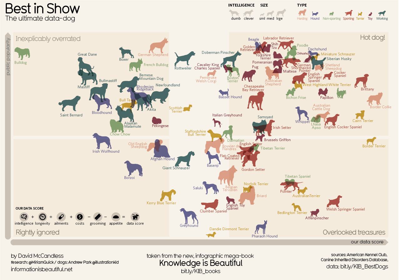 'Best in Show', A Detailed Infographic Ranking 87 Different Dog Breeds