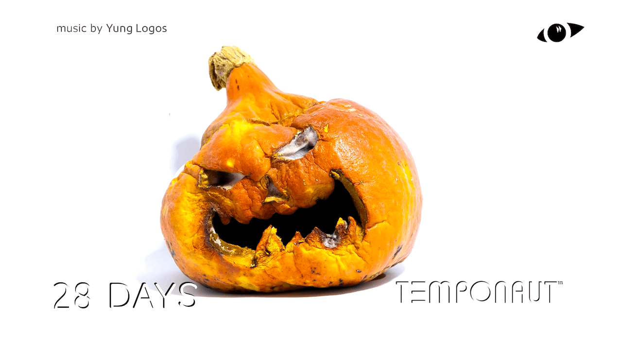 Fascinating Timelapses of Food