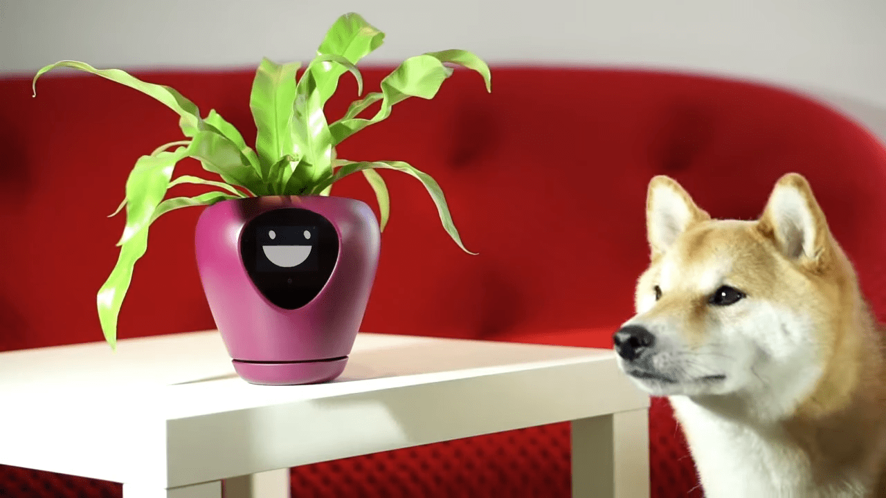 Lüa, A Smart Planter That Expresses What a Plant Needs and