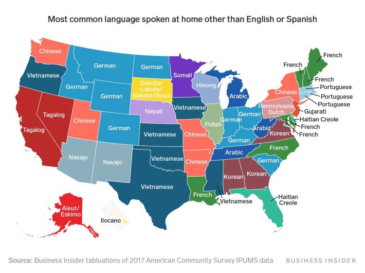A Revealing Map of the Most Common Languages Spoken in the U.S. Other