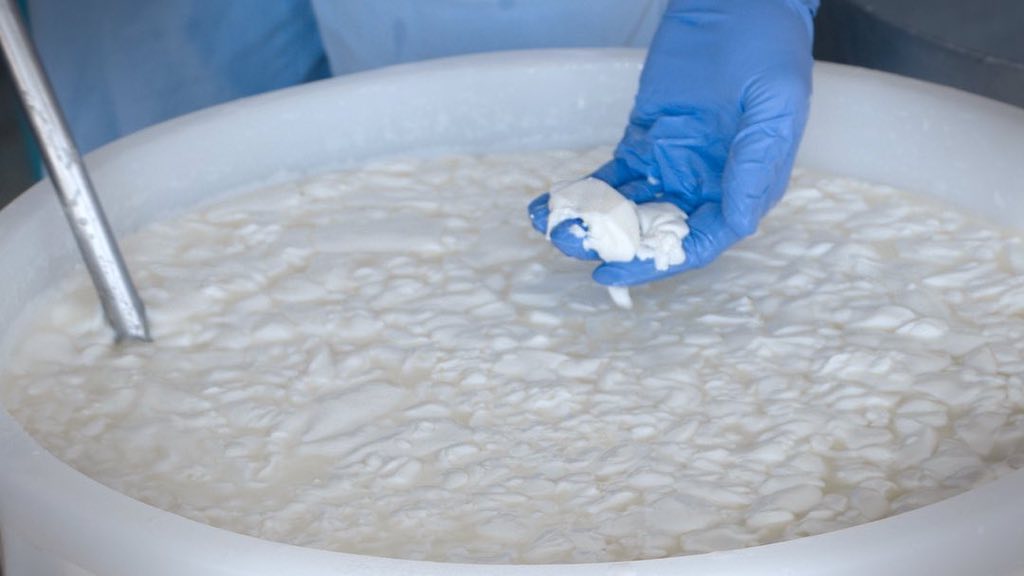 How Ricotta Cheese Is Made at a Small Italian Dairy