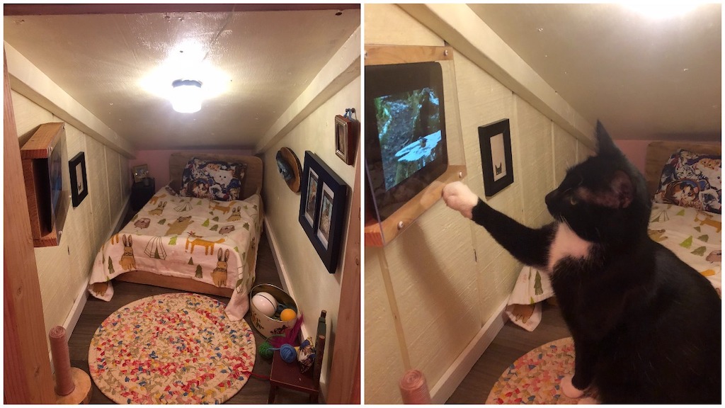 Couple Builds Beloved Cat His Own Personal Bedroom With Matching