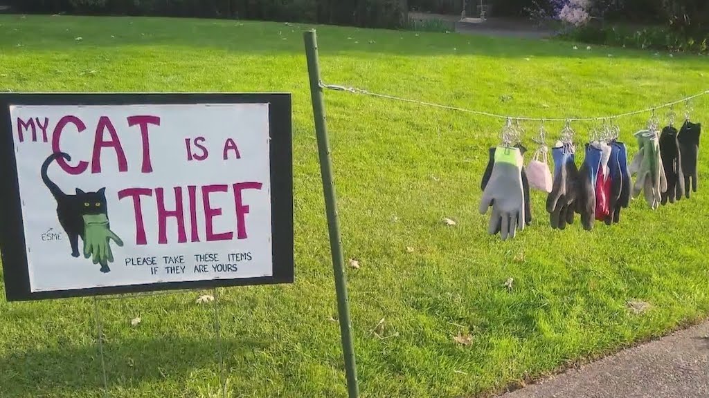Woman Posts Sign That Her Cat is a Thief and Invites Her Neighbors to