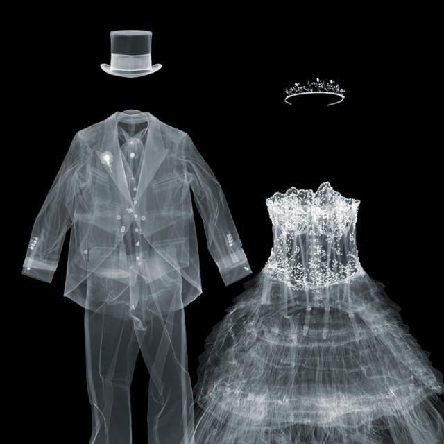 Incredible XRay Photography by Nick Veasey