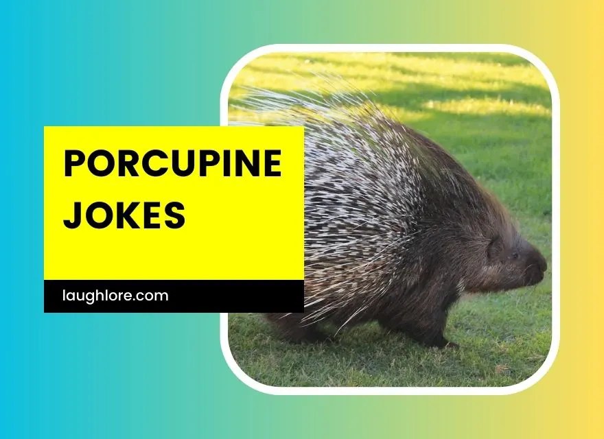 101 Porcupine Jokes