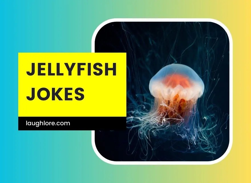 150 Jellyfish Jokes Laugh Lore