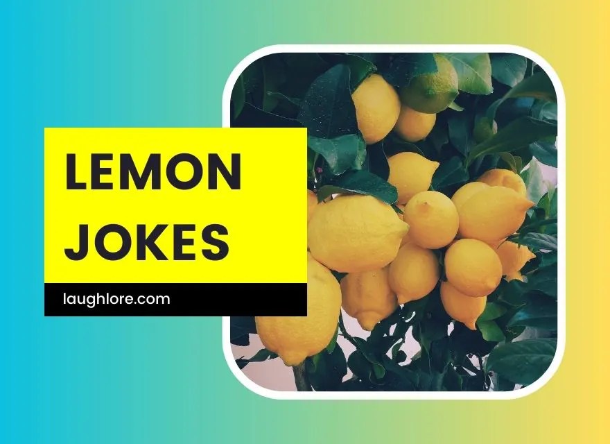 146 Lemon Jokes