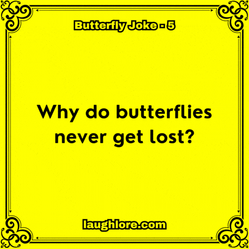 125 Butterfly Jokes Laugh Lore
