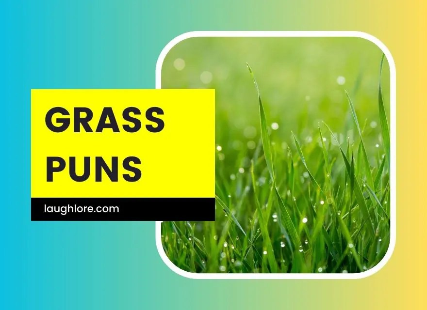 125 Grass Puns