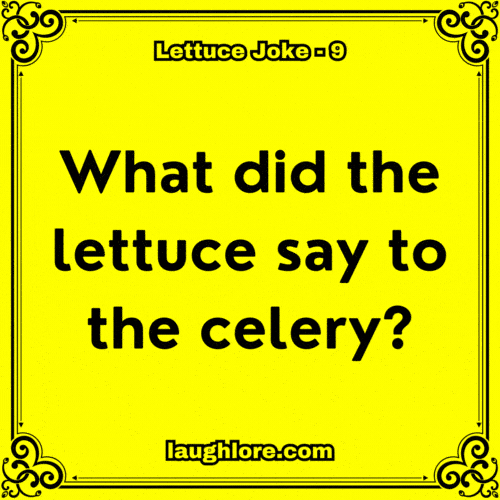122 Lettuce Jokes Laugh Lore