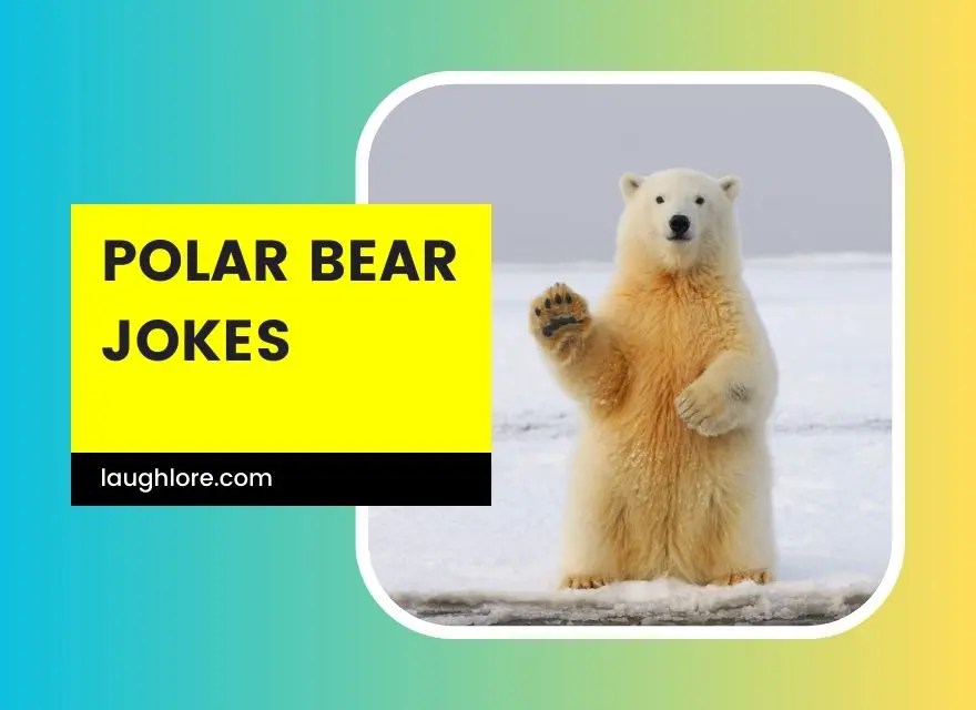 141 Polar Bear Jokes