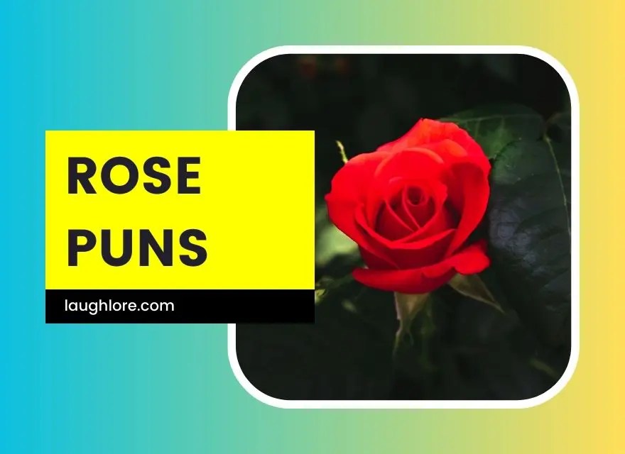105 Rose Puns