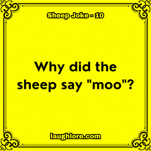 125 Sheep Jokes