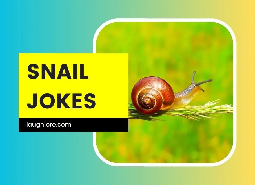 125 Snail Jokes