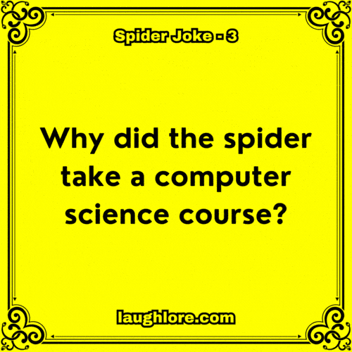 125 Spider Jokes