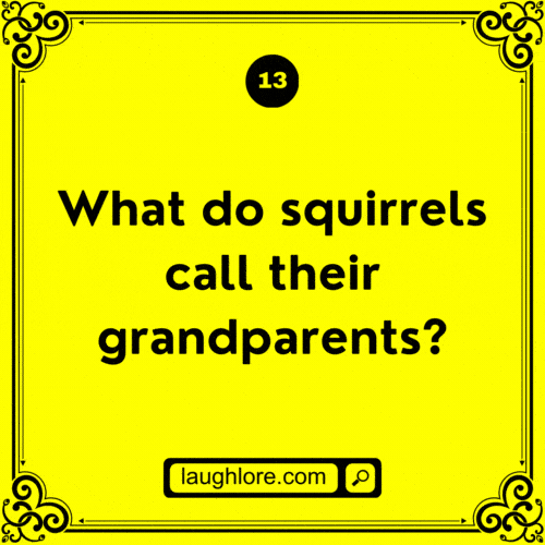 125 Squirrel Jokes