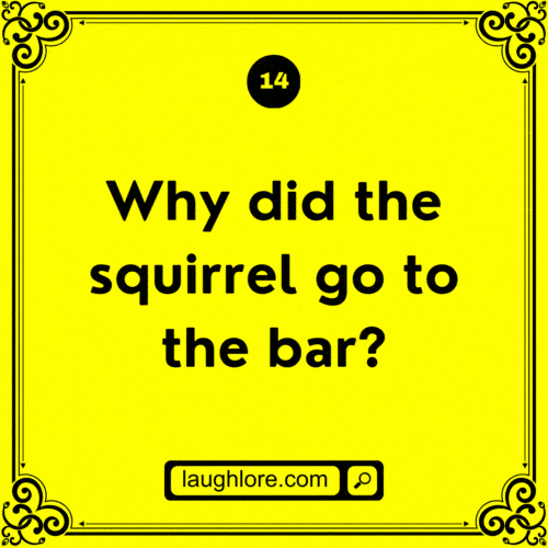 125 Squirrel Jokes