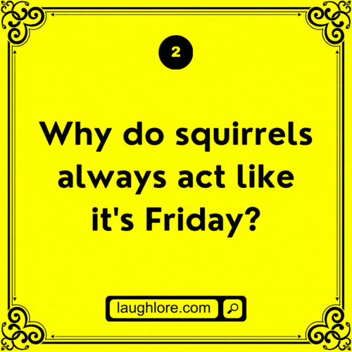 125 Squirrel Jokes