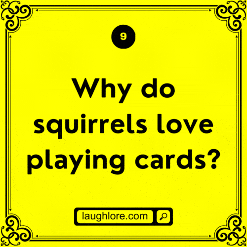 125 Squirrel Jokes