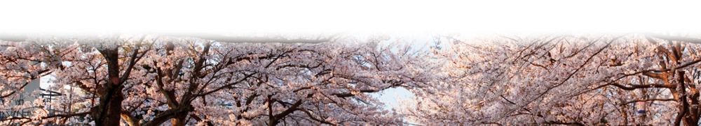 Home Laughrey Funeral Home serving Pennsville, New Jersey