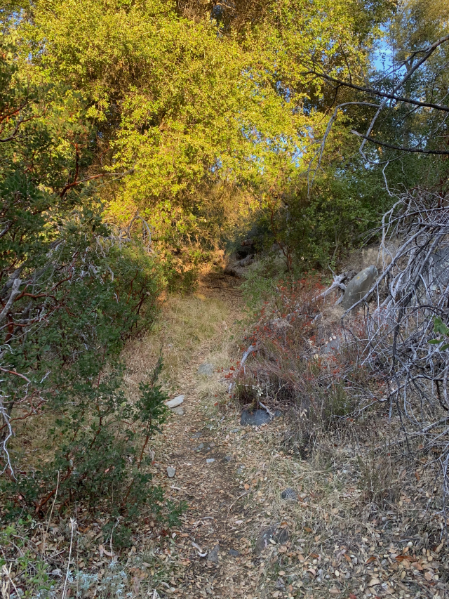 Guatay Mountain laughter & sleep