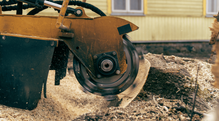 How to Start a Stump Grinding Business LaunchKit
