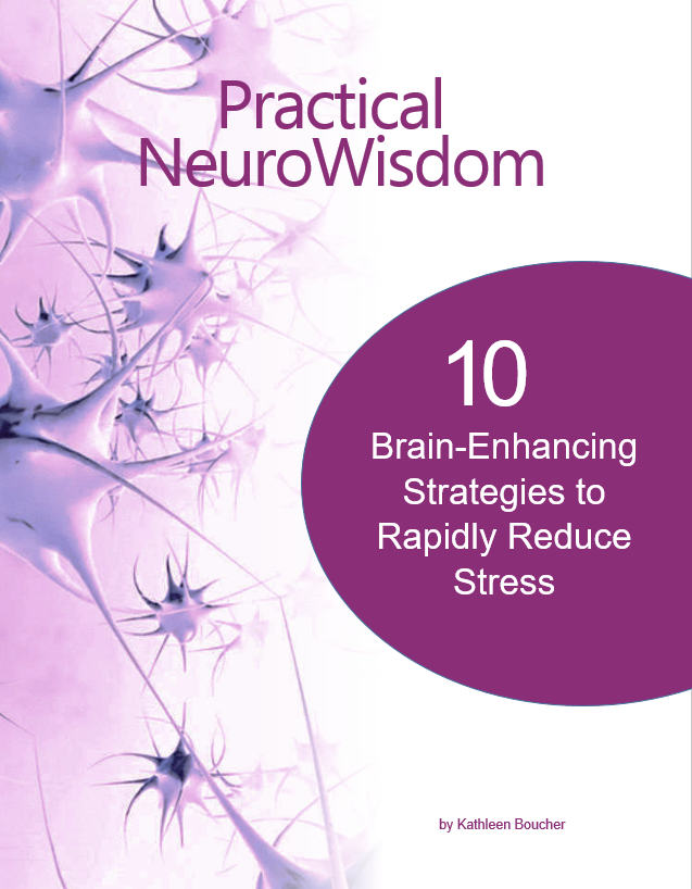 NeuroScience to Rapidly Reduce Stress eBook