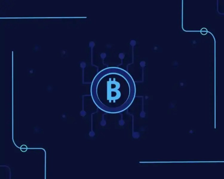 JavaScript Charts Built on SVG in Blockchain Launchpad Pinigus