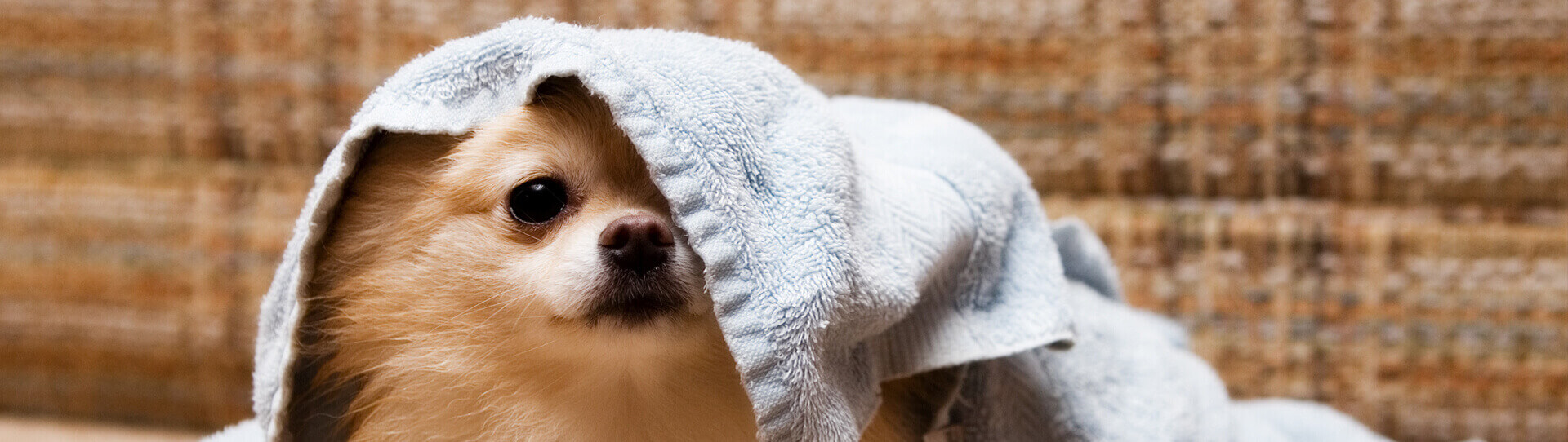 Home LaundryFarm Animal Laundry Service