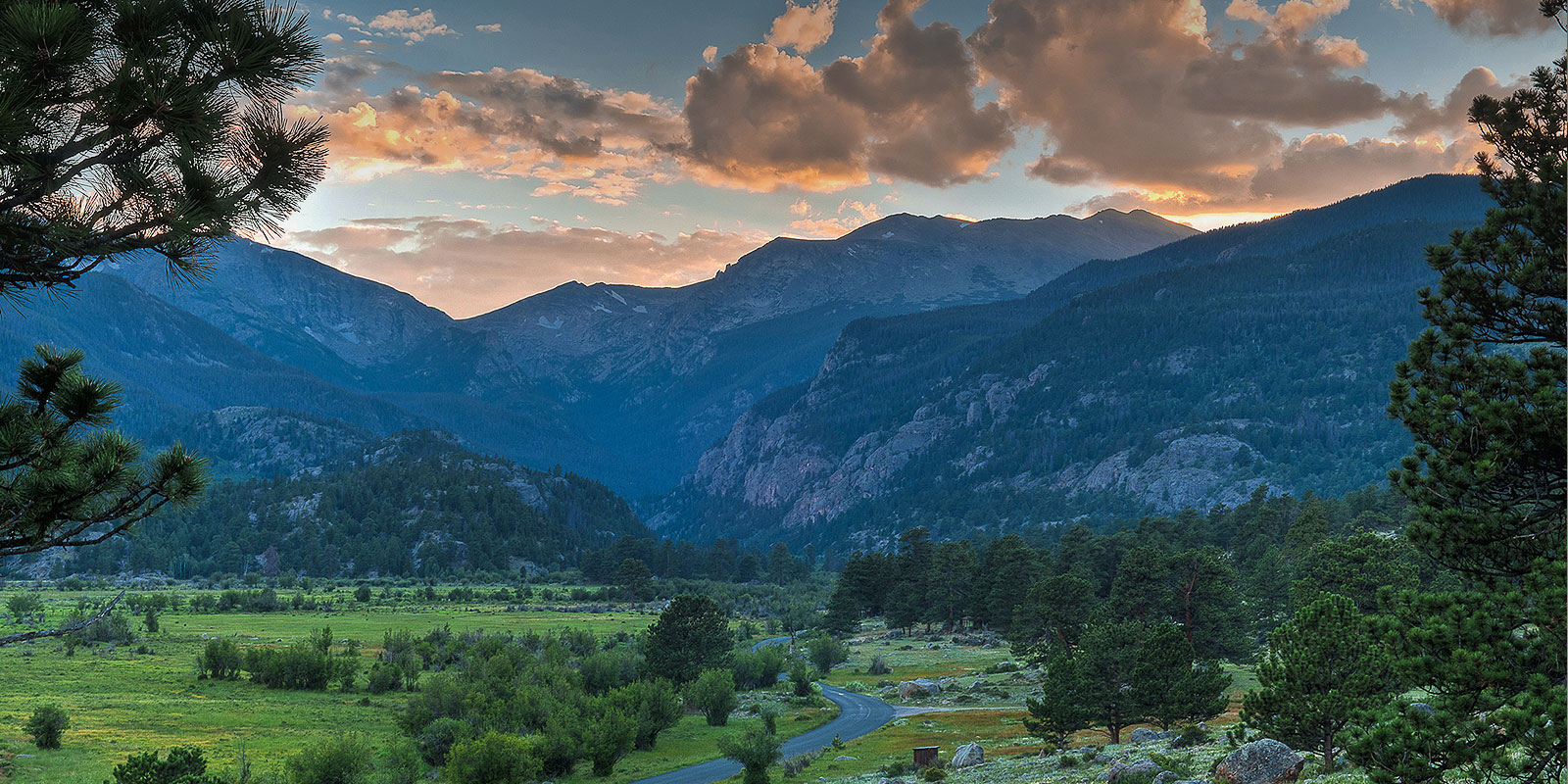 Specializing in Boulder and Larimer County Real Estate Laura Levy