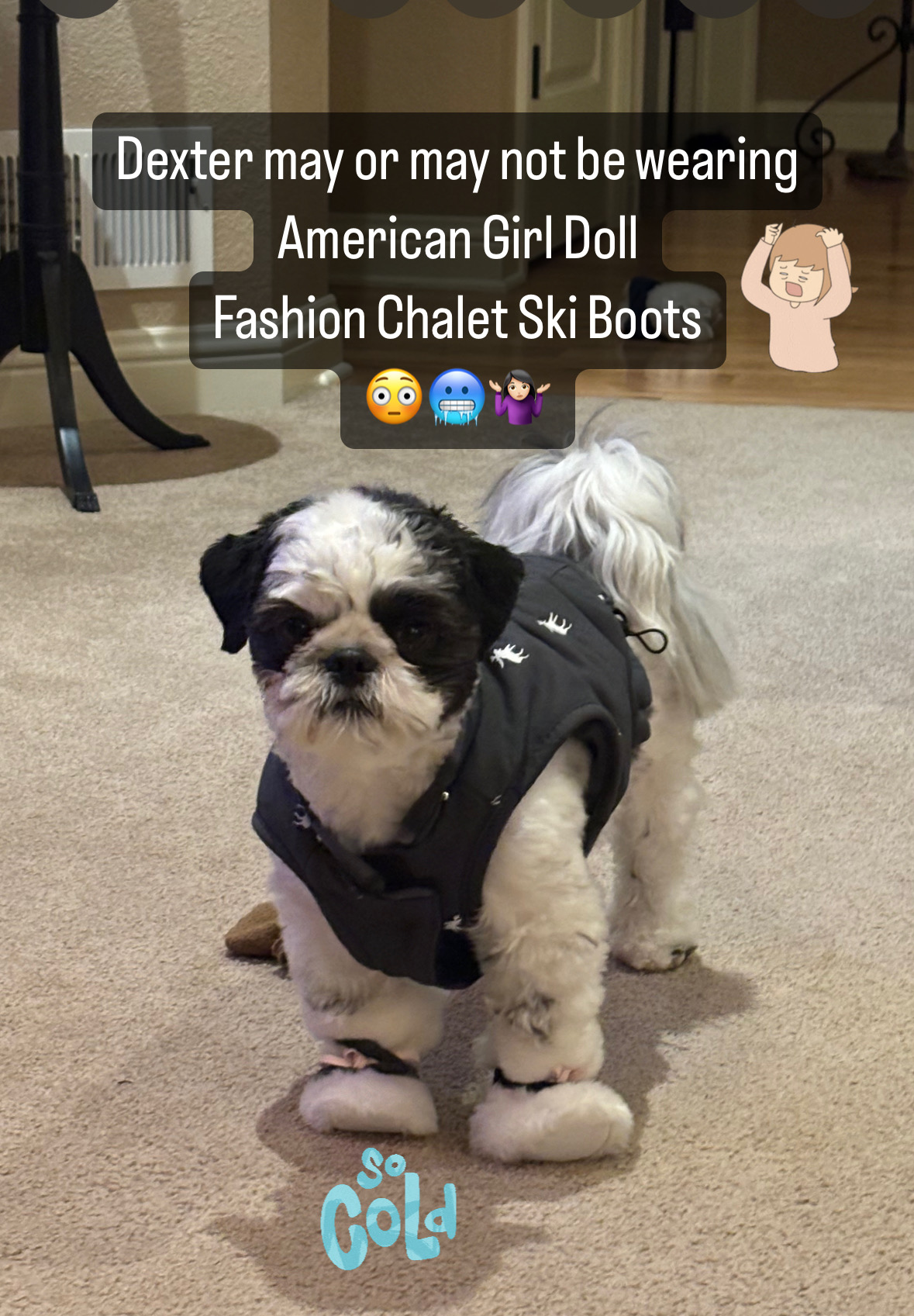 Kicking the Dog Laura Sandretti Ministries