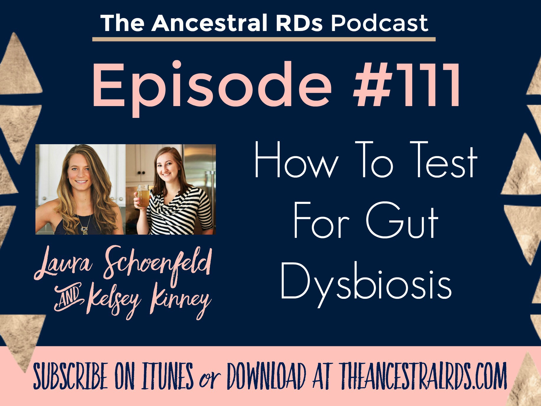 Episode 111 How To Test For Gut Dysbiosis • Laura Schoenfeld