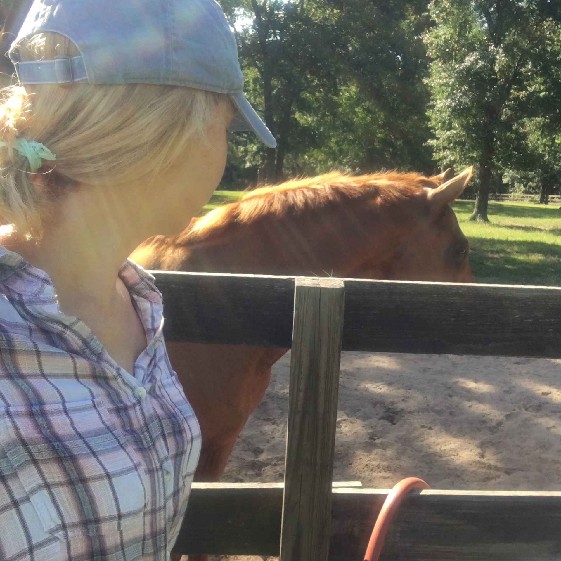 Keep Showing Up Laurel Ashton Equestrian