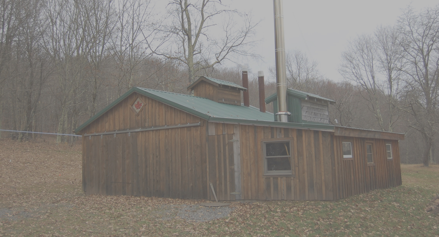 The Maple Laurel Fork Sapsuckers