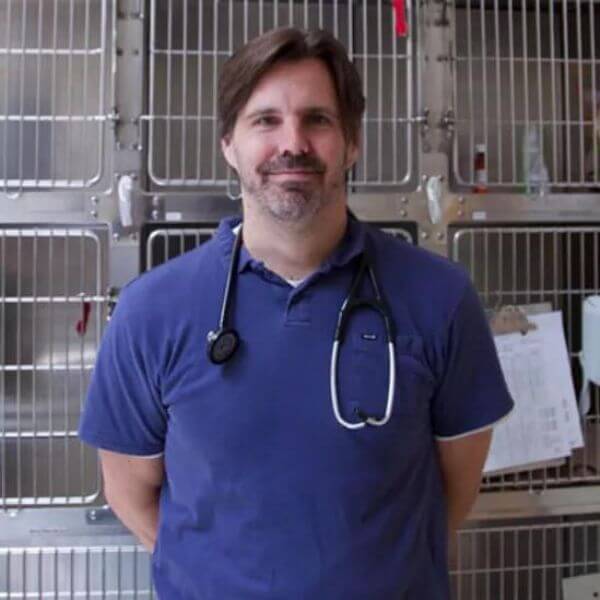 Veterinarian In West Hollywood, CA 90046 Laurel Pet Hospital