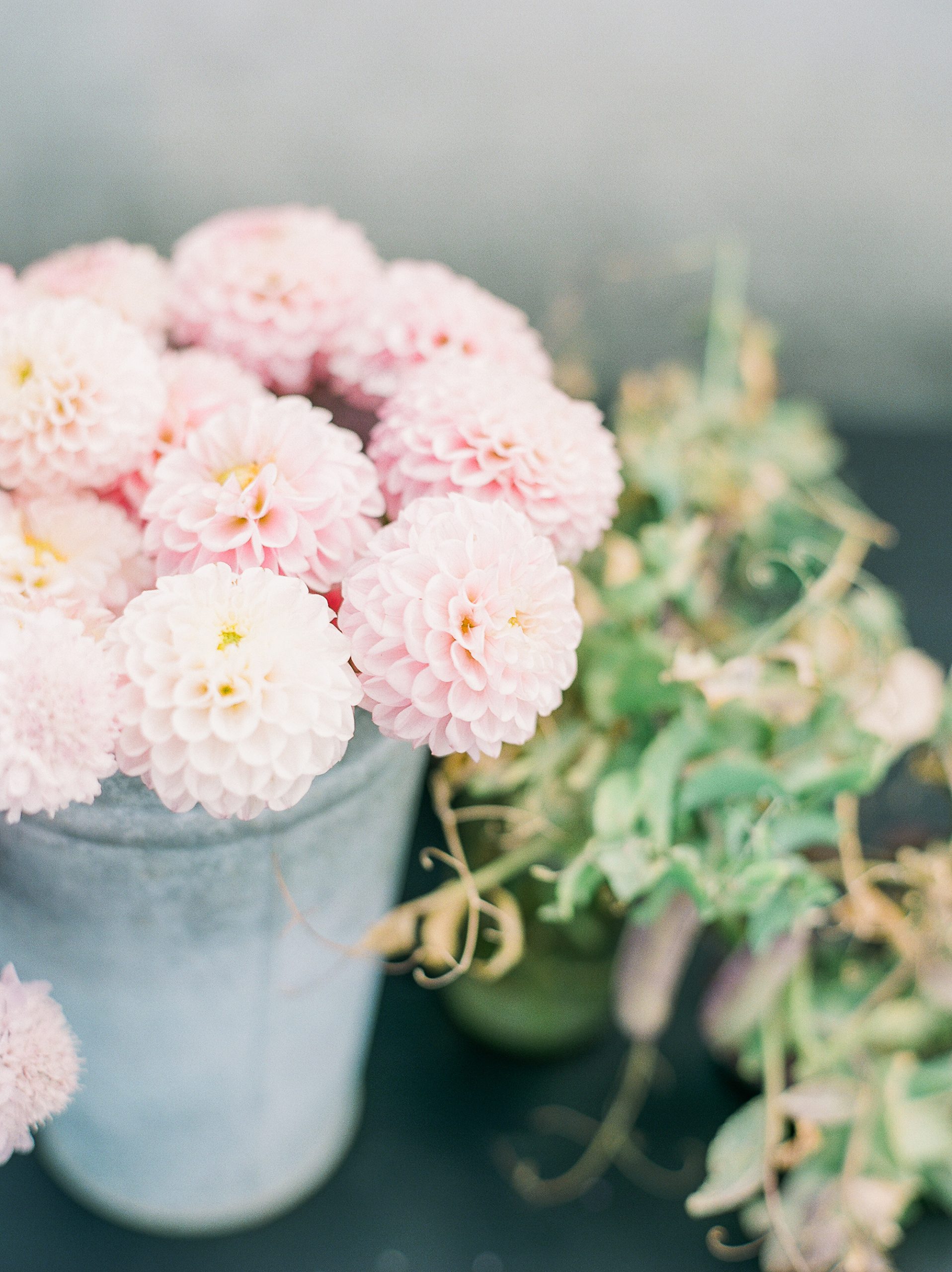 Garden To Vase The Best Tips For Harvesting, Foraging & Designing