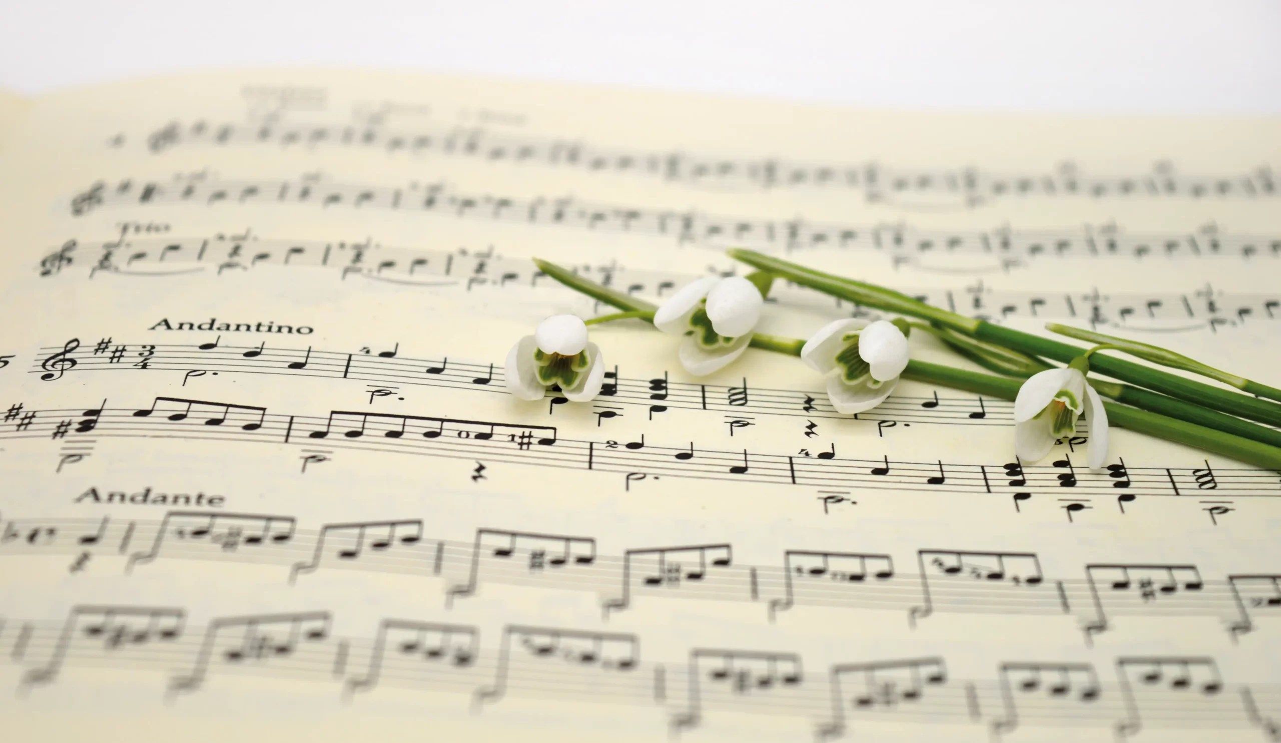 How to Organize Your Sheet Music