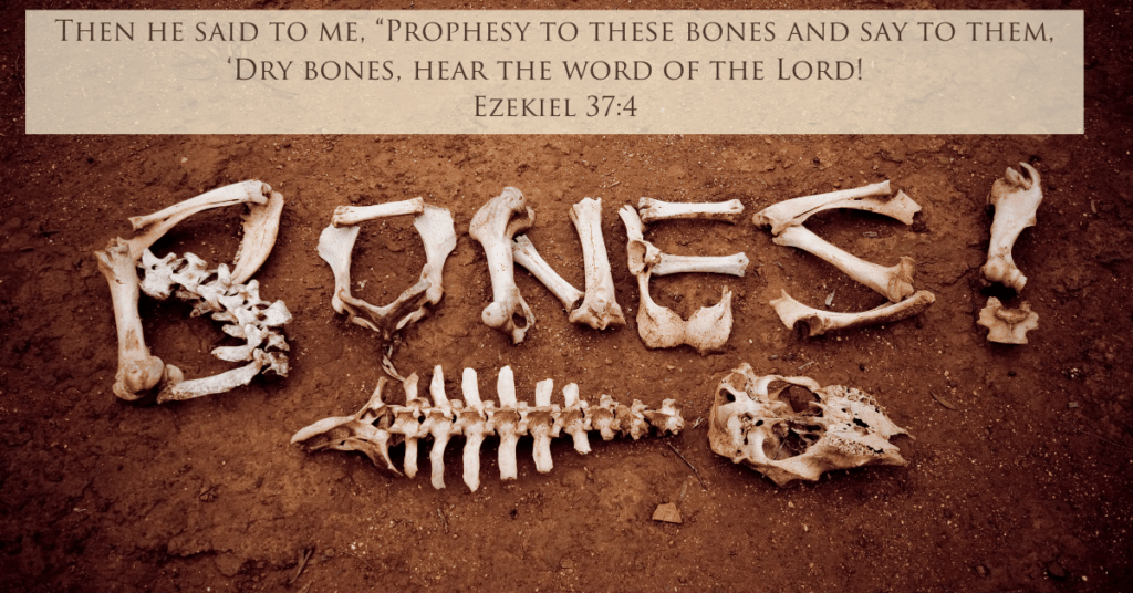 Rattle Those Dry Bones