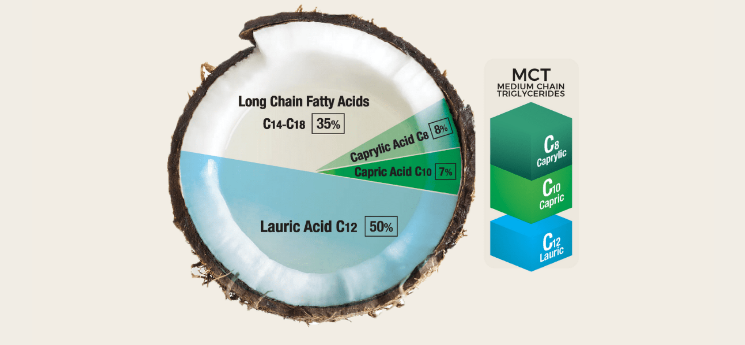 What Are MCTs and How Do They Work Laurin MCT