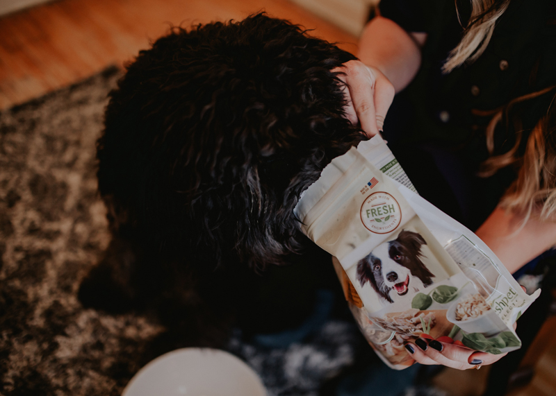 Why Freshpet Is Best For My Dogs and Cats Lauryncakes