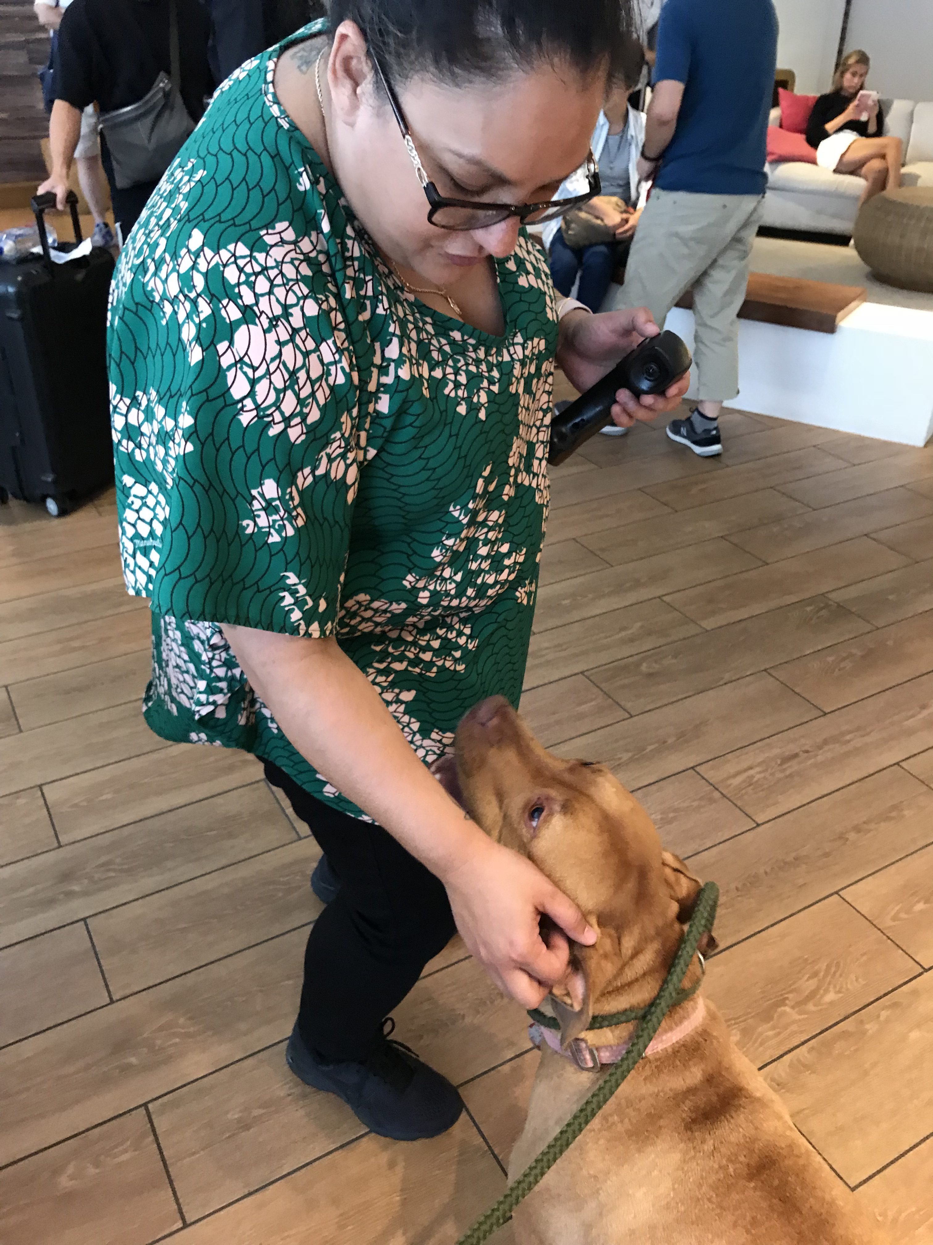 Hyatt Centric Waikiki Beach Lava Dogs 808