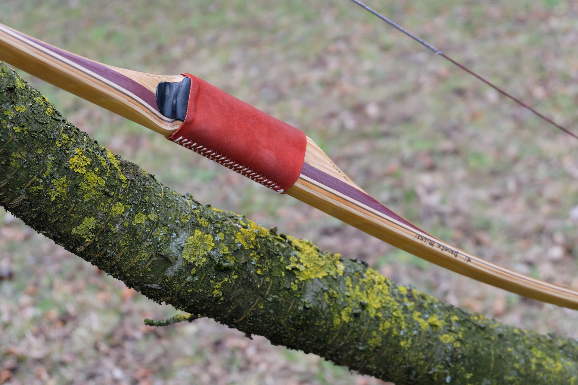 Azincourt, Longbow Ashram La Via di Mezzo, Arcieri Natura