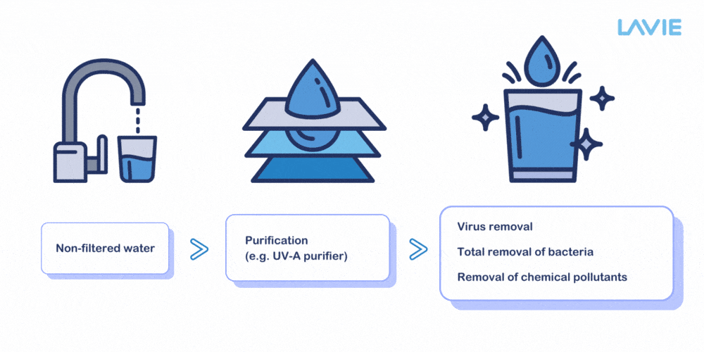 Water Filter vs. Water Purifier What’s the difference?